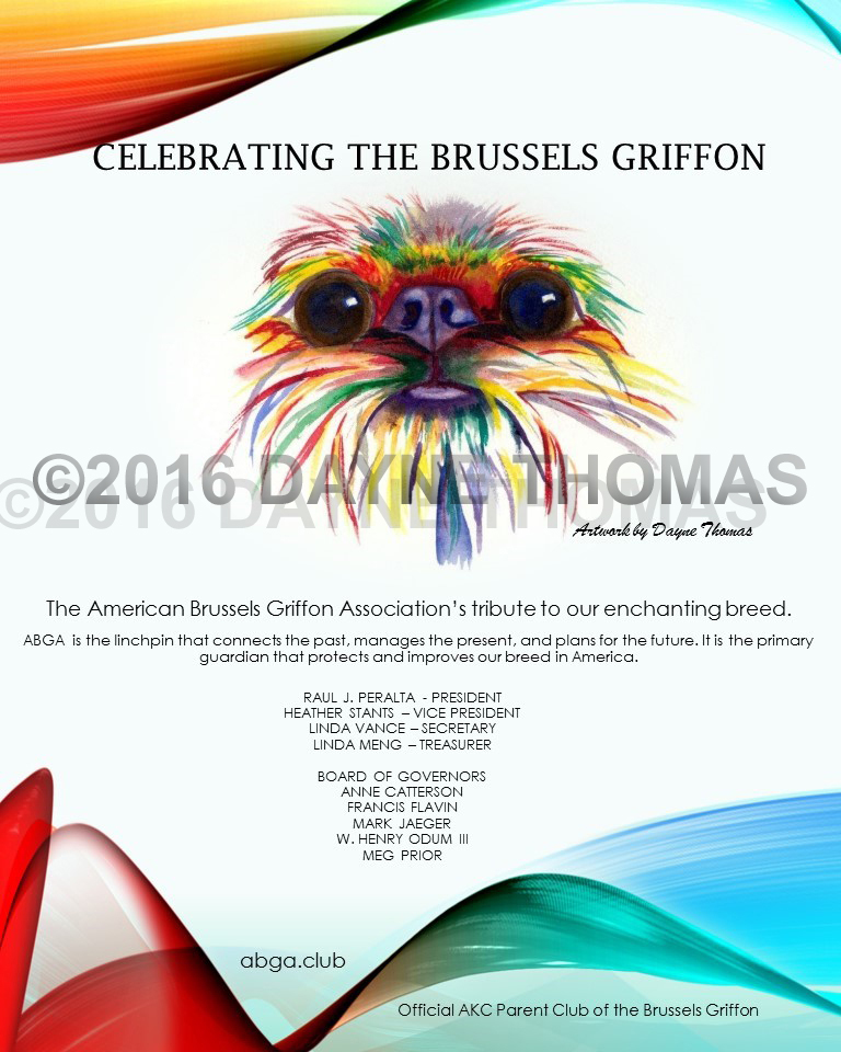 ShowSight presents the Brussels Griffon