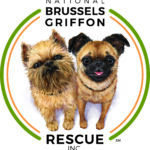 National Brussels Griffon Rescue