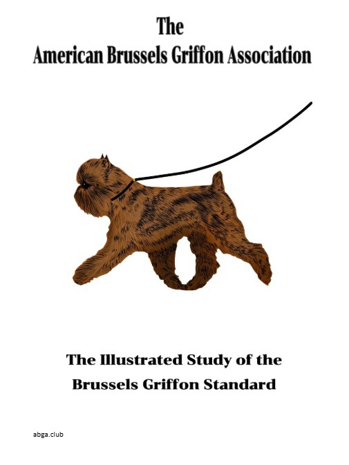 Illustration Brussels-Griffon standard